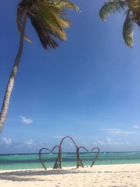 istock Saona Island, Dominican Republic 1219931330