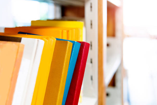 istock Close up of books in library bookshelf 1219934843