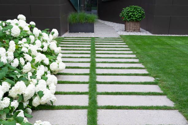 view of the path in the garden of natural stone along which the lawn is located and white hydrangea grows. - hydrangea white flower flower bed imagens e fotografias de stock