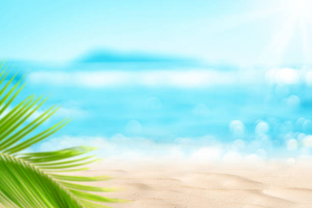 istock Blur beautiful nature green palm leaf on tropical beach with bokeh sun light wave abstract background. 1219934921