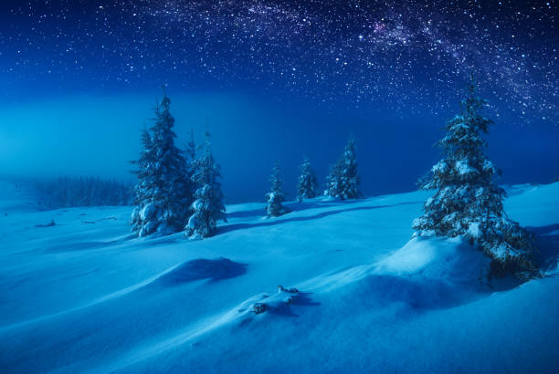 istock Fairy winter valley covered with snow in a moon light 1219937250