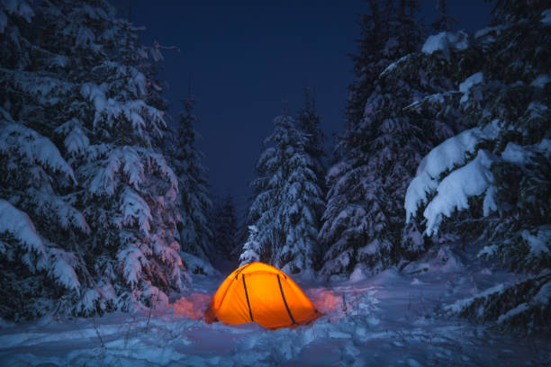 istock Lonely camping tent on a snow in a deep forest 1219937408