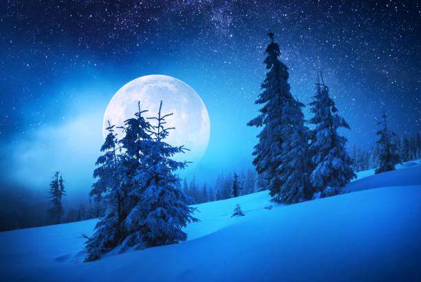 istock Majestic moon rise in a winter forest covered with fresh snow 1219937657