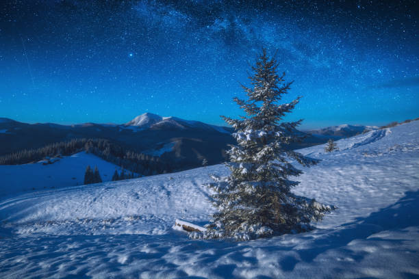 istock Carpathian winter valley covered with snow in a moon light 1219937680