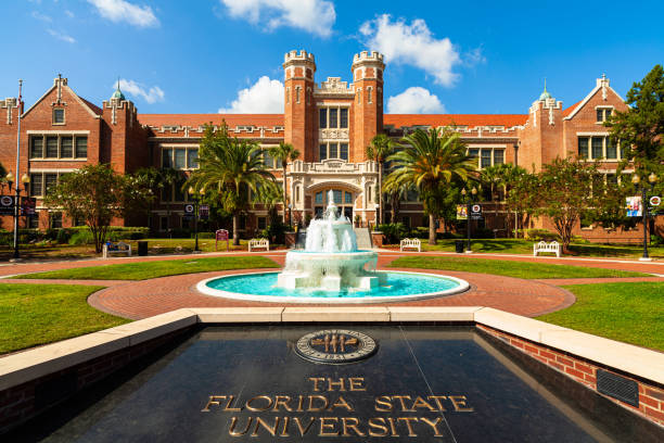 università statale della florida - florida state foto e immagini stock