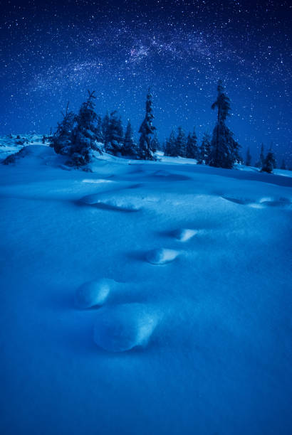 istock Fairy winter forest covered with beautiful snow illuminated by moon light 1219938363