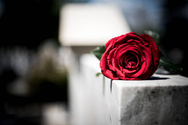 istock Flower on memorial stone close up 1219939533