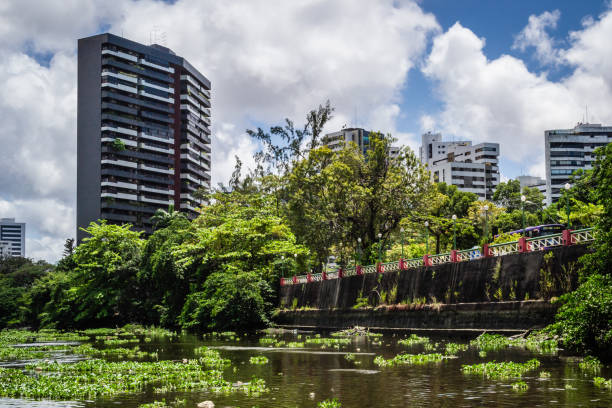 istock Cities of Brazil - Recife, Pernambuco state capital 1219939622