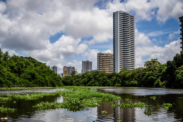 istock Cities of Brazil - Recife, Pernambuco state capital 1219939626