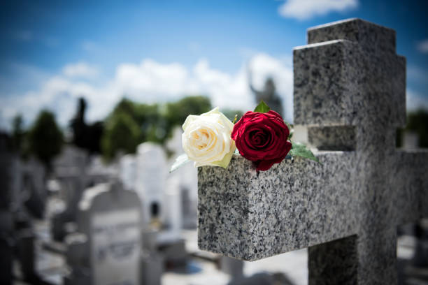 istock Flower on memorial stone close up- Covid-19 1219942055
