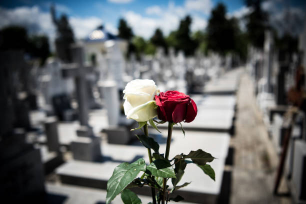 istock Flower on memorial stone close up- Covid-19 1219942660
