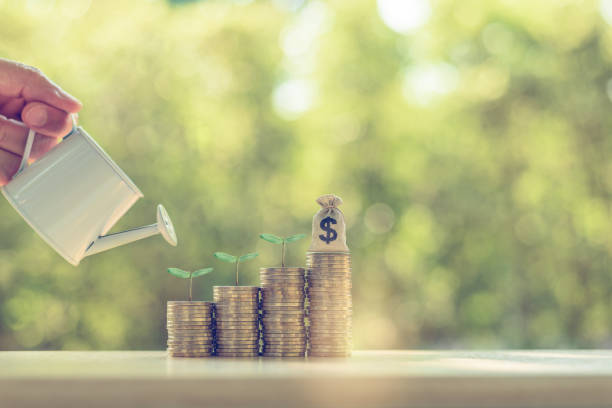 istock Water is poured from a watering can on small tree and coins 1219942948