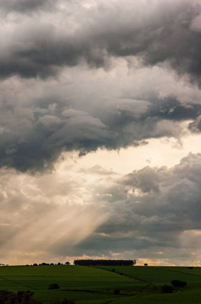istock Rural field scene with storm clouds in the sky and landscape 1219943096