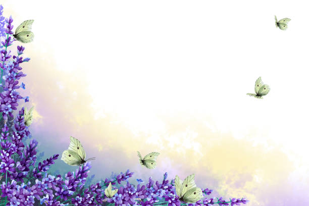istock Corner frame of lavender twigs with flowers with multicolor fog and flock butterflies. Hand drawn watercolor. Copy space. 1219943701