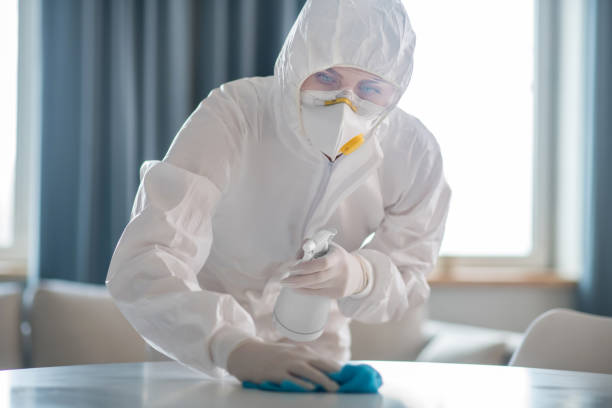 istock Woman in white workwear and protective gloves disinfecting the table surface 1219945276