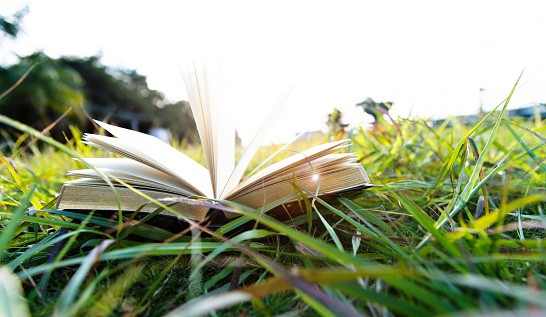 Open book on grass area.