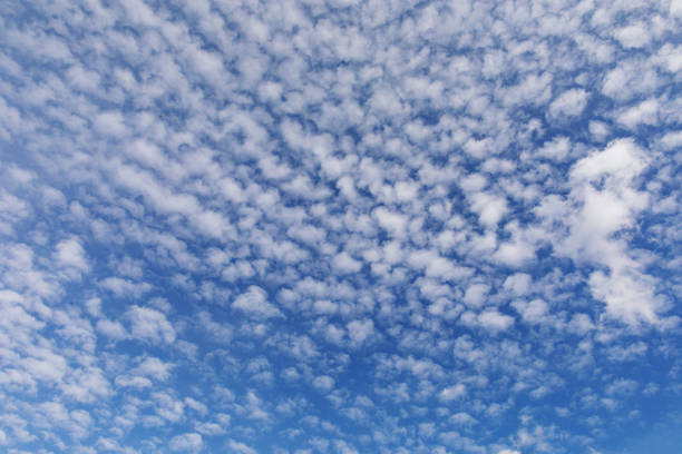 Altocumulus clouds Panoramic view of some altocumuls clouds on a clear blue sky (FVG, Italy). cirrocumulus stock pictures, royalty-free photos & images