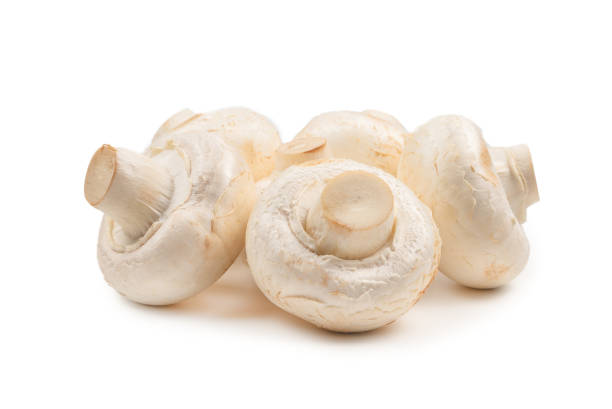 istock Champignon mushroom isolated on white background. 1219949743