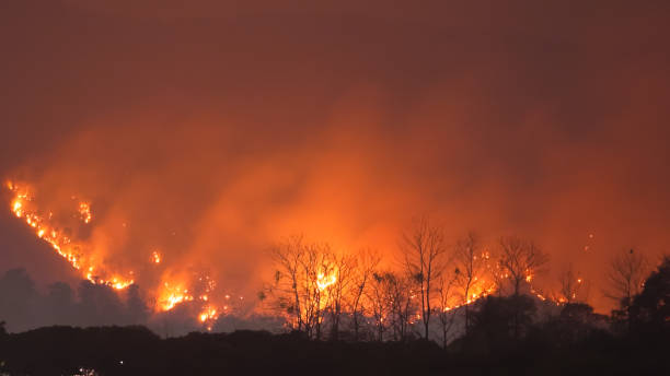 istock Forest Fire at Night.Wildfire burning forest trees in the mountain.Wildfire caused by humans. 1219951833
