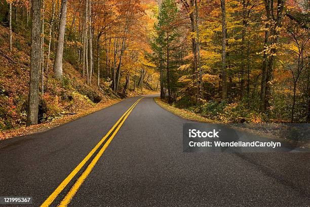 Carretera De Montaña En El Bosque De Lluvia Curva Foto de stock y más banco de imágenes de Aire libre - Aire libre, Amarillo - Color, Appalachia