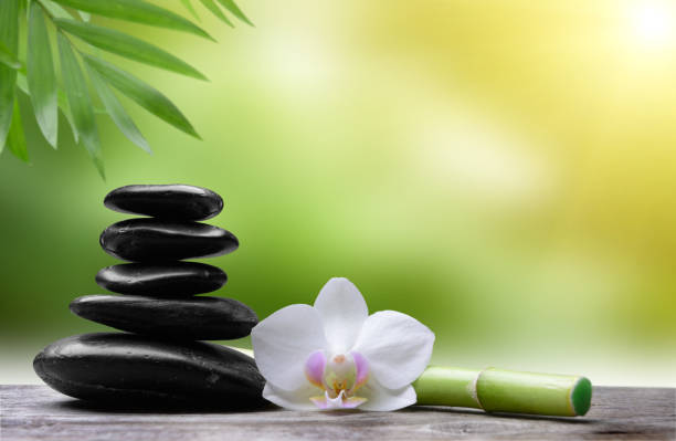 istock Black stones ,orchid flower and bamboo 1219953966