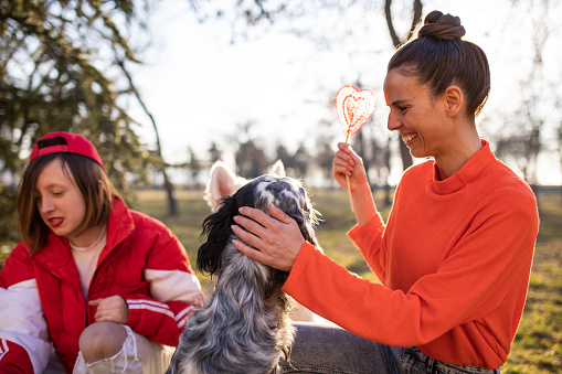 Young women are petting dogs and one of them is holding a red heart-shaped lollipop in a park on a sunny day