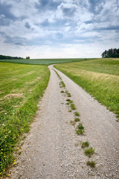 istock Beautiful rural summer landscape in Germany 1219956845