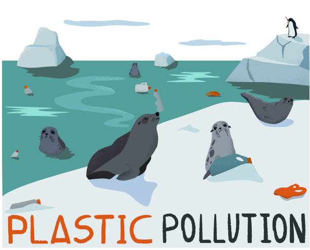 ilustrações de stock, clip art, desenhos animados e ícones de plastic pollution, ecology problem - iceberg banner animal bird