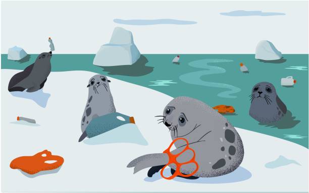 ilustrações de stock, clip art, desenhos animados e ícones de plastic pollution, ecology problem - iceberg banner animal bird