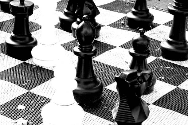 istock Chess figure, business concept strategy, leadership, team and success 1219960351