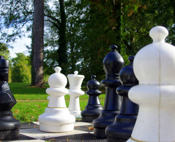 istock Chess figure, business concept strategy, leadership, team and success 1219960389
