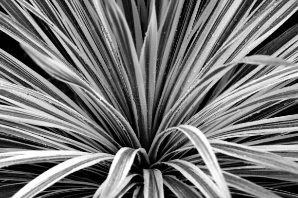 istock Modern art. Bright abstract background. Normandy, France. 1219960570