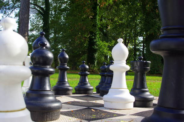 istock Chess figure, business concept strategy, leadership, team and success 1219960641