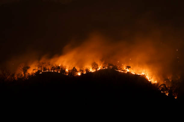istock Forest Fire at Night.Wildfire burning forest trees in the mountain.Wildfire caused by humans. 1219961286