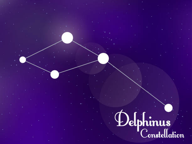 Delphinus constellation. Starry night sky. Cluster of stars, galaxy. Deep space. Vector illustration Delphinus constellation. Starry night sky. Cluster of stars, galaxy. Deep space. Vector illustration constellation delphinus stock illustrations
