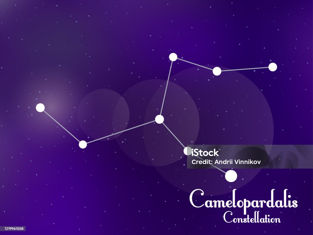 Leopard Constellation Camelopardalis Constellation Starry Night Sky Cluster Of Stars Galaxy ...