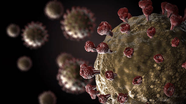 istock Covid19 - The Corona Virus SARS CoV 2 1219962172
