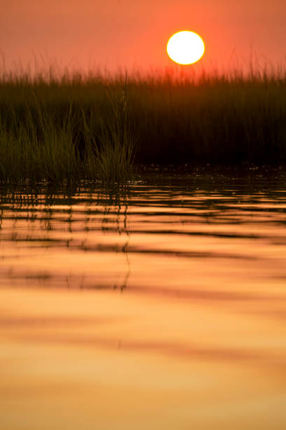 블랙 홀 리버 선셋 - coral water sunset usa 뉴스 사진 이미지