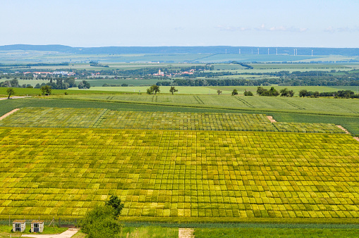 Germany: A trial field for grain from above.