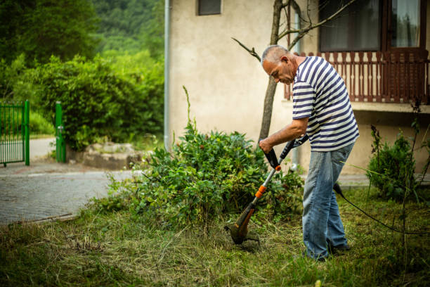 istock The elderly man is mowing the grass in the yard 1219965723