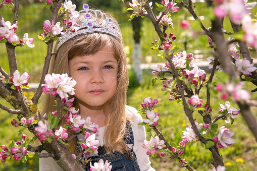 portret Girl little child in spring flower bloom. Enjoy smell of tender bloom sunny day. Sakura flower concept. Gorgeous flower beauty. flower background. Sakura tree blooming. Park and garden.