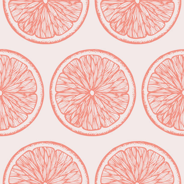 Hand drawn orange seamless pattern. Vintage vector background with orange slices Hand drawn vector background with orange, citrus slices grapefruit stock illustrations