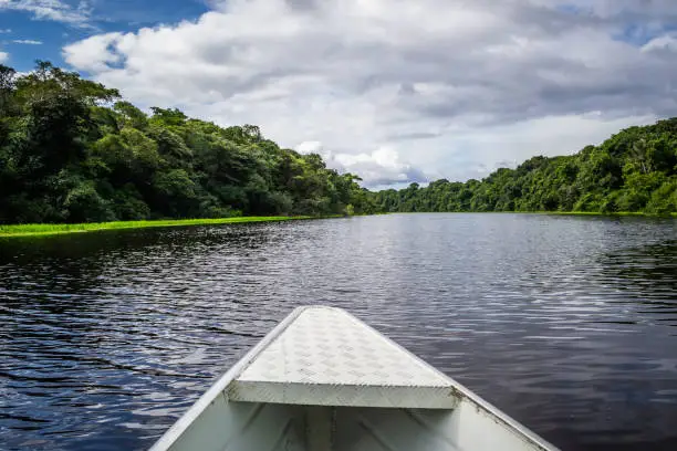 Photo of Cities of Brazil - Novo Airao, Amazonas state - Anavilhanas National Park