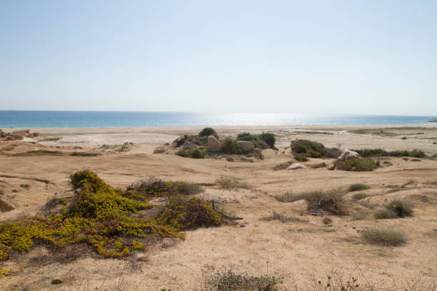 istock Baja california Sur Landscape, Mexico 1219972552