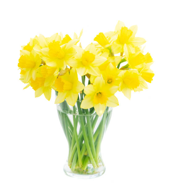 istock bouquet of daffodils flowers 1219973915