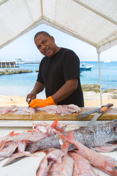 Man Holding Fish At Fish Market , George Town,  Cayman Islands Man Selling Fresh Fish, Red & White Snapper, Street Market, Caribbean, West Indies fillet red snapper fish raw stock pictures, royalty-free photos & images