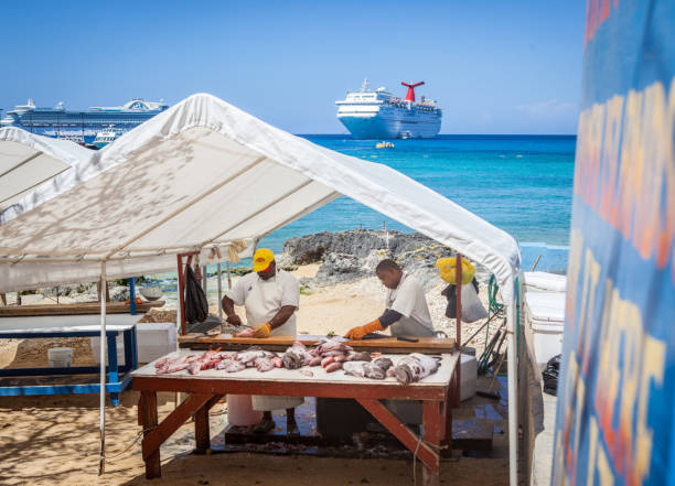 Man selling Fish At Fish Market , Cruise ship & Blue Caribbean Sea George Town,  Cayman Islands Man Selling Fresh Fish, Red & White Snapper, Street Market, Cruise Ship & Blue Caribbean Sea , West Indies fillet red snapper fish raw stock pictures, royalty-free photos & images