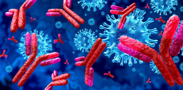 Antibody  Immunoglobulin Antibody and Immunoglobulin concept as antibodies attacking contagious virus cells and pathogens as a 3D illustration. antigen stock pictures, royalty-free photos & images