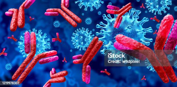 Antibody Immunoglobulin Stock Photo - Download Image Now - Antibody, Coronavirus, Immune System