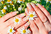 A stunning daisy nail art design